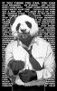 MrPanda