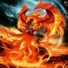 _Phoenix