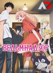 Постер аниме Ведьмнадзор 